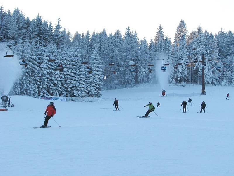 "Pocukrované" stromy podrtrhovaly opravdově zimní atmosféru.