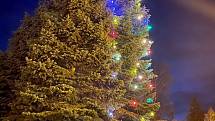 I areál novoměstské nemocnice už rozzářil vánoční strom. Návštěvníci mohou obdivovat i velký betlém.