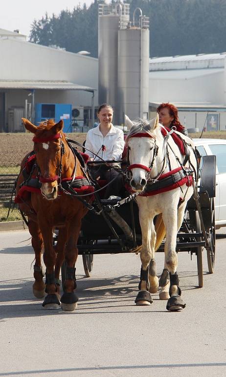 V Bystřici nad Pernštejnem v sobotu 21. března 2015 poprvé otevřelo své brány veřejnosti nové turistické centrum Eden.