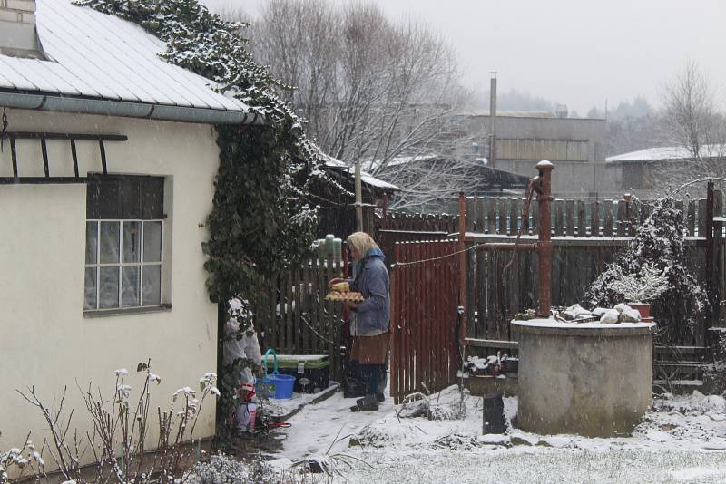 Veterináři z Krajské veterinární správy v Jihlavě utratili šest slepic a kohouta také v sousedním chovu Marty Němcové. Ta musel nechat zlikvidovat i vajíčka.