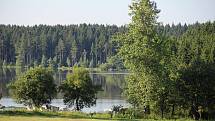 Na Novoměstku jsou oblíbené kempy u rybníků Medlov a Sykovec.