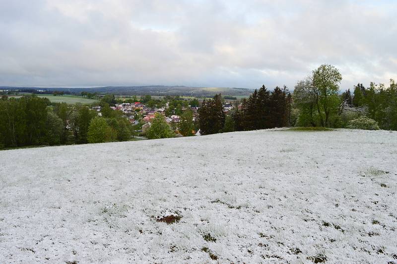 Ledoví muži přinesli sníh i mráz. 12. květen 2020, Vojnův Městec, Kraj Vysočina, 595 metrů nad mořem, - 0,5 stupňů Celsia, cca 6 hodin ráno.