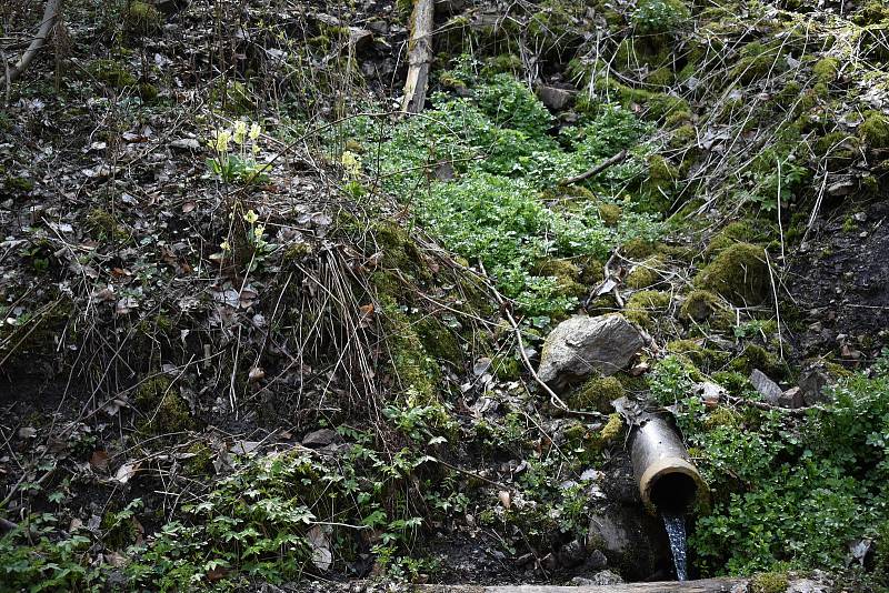 Nádherná příroda, vyhlídková místa a skvělá kuchyně. Na to lákali Šťastní z Víru turisty ze široka daleka. Upravovali cesty a vydávali pohlednice.