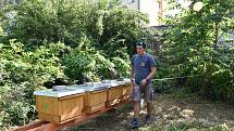 Město Žďár nad Sázavou má nově vlastní včely