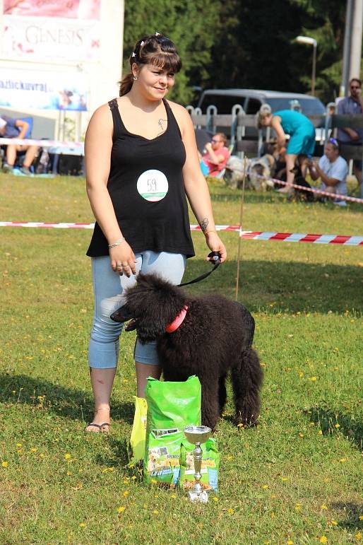 Duo voříškiáda 2015 Tři Studně.