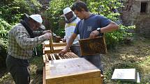 Město Žďár nad Sázavou má nově vlastní včely