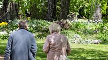 Soukromé zahrady rodiny Kinských na zámku Žďár nad Sázavou se 29. května 2021 otevřely pro veřejnost při akci Kouzelné zahrady.