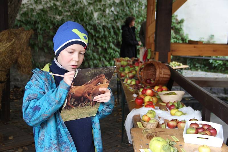 Malí návštěvníci výstavy i dospělí si prověřili své vědomosti v testu.