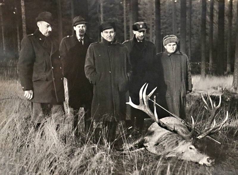 Do Žďárských vrchů se kdysi jezdilo na jeleny.