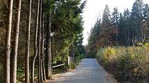 Lesní cesta, již hojně využívají nejen lesníci, ale i chataři, cyklisté a turisté, byla před opravou plná výmolů. Nyní dostala nový povrch.