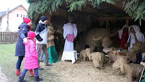 Svařák do termosky a adventní putování může začít. Třeba u betlému s velbloudem