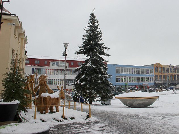 OBRAZEM: Žďárský vánoční strom roste na náměstí Republiky