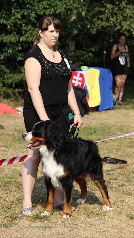 Duo voříškiáda 2015 Tři Studně.