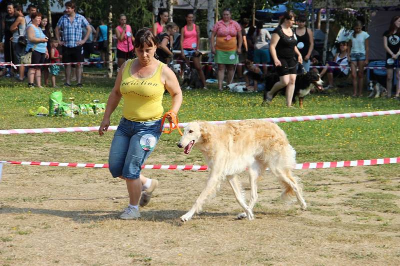 Duo voříškiáda 2015 Tři Studně.