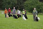 Žďár ve středu navštíví skupina nevidomých lidí se svými cvičiteli a vodícími psy v rámci letního soustředění nadace Mathilda.