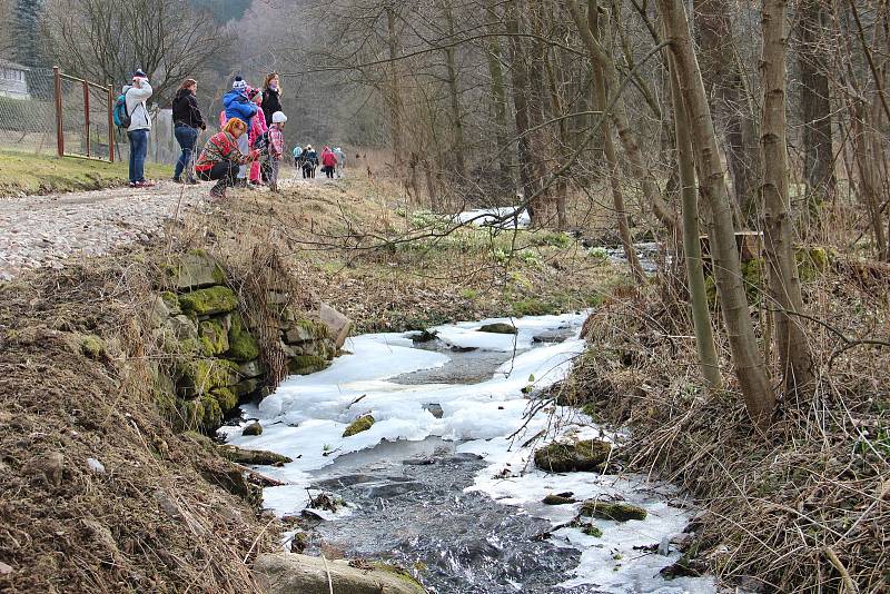 Je čas bledulí. Malá víska Chlébské, ležící na rozhraní Kraje Vysočina a Jihomoravského kraje už zase přitahuje davy zvědavců ze všech koutů republiky.