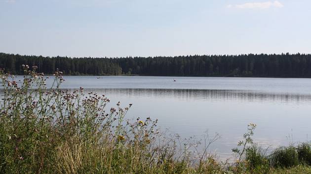 Medlovský rybník.