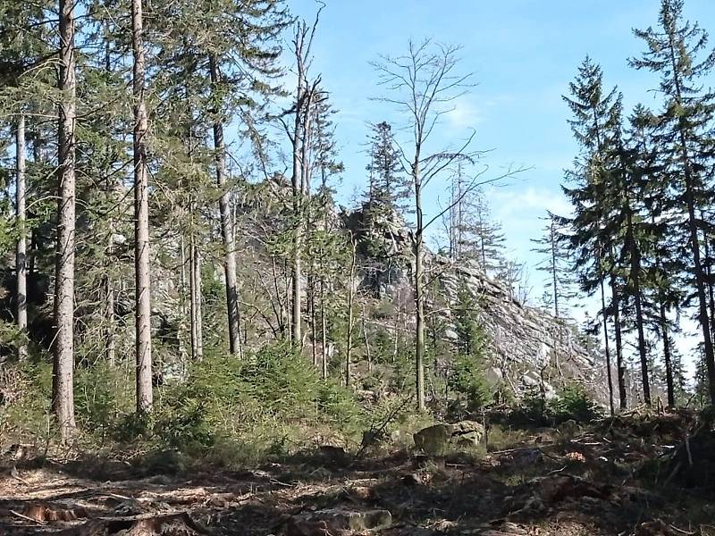 Nejvyšší vrchol Žďárských vrchů - Devět skal