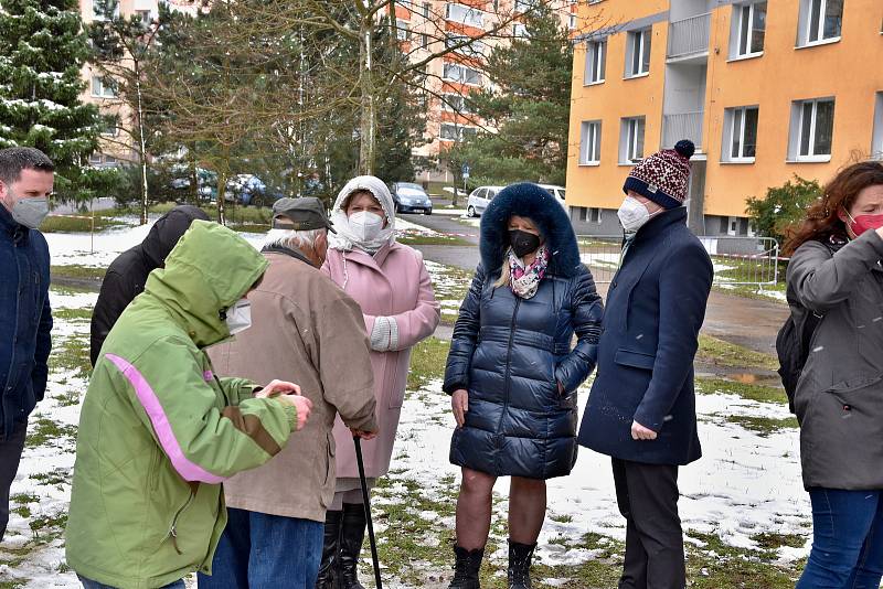 Sto let stará lípa na Libušíně má jít k zemi. Její zdravotní stav je podle dendrologů špatný.