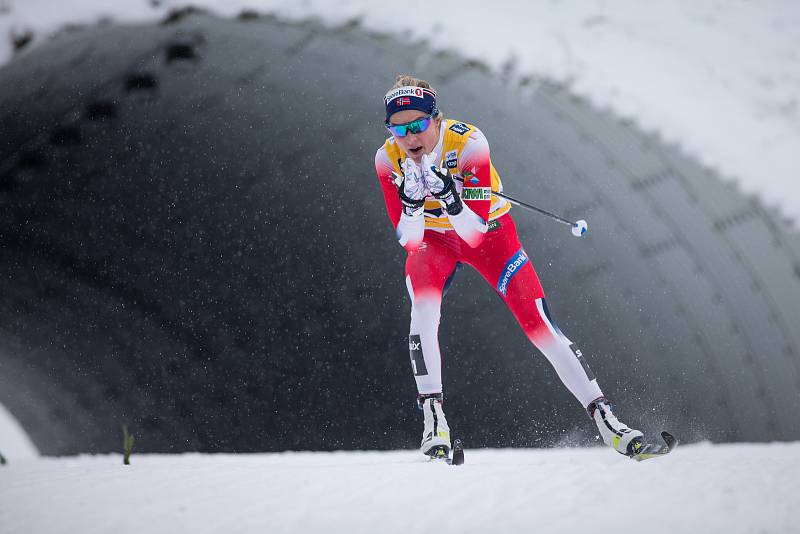 Vítězka Therese Johaugová stíhacím závodě žen na 10 km klasicky v rámci Světového poháru v běhu na lyžích.