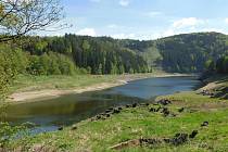Málo vody je také v přehradě ve Víru. Tam je to navíc umocněno snížením hladiny kvůli opravě přehradní hráze.