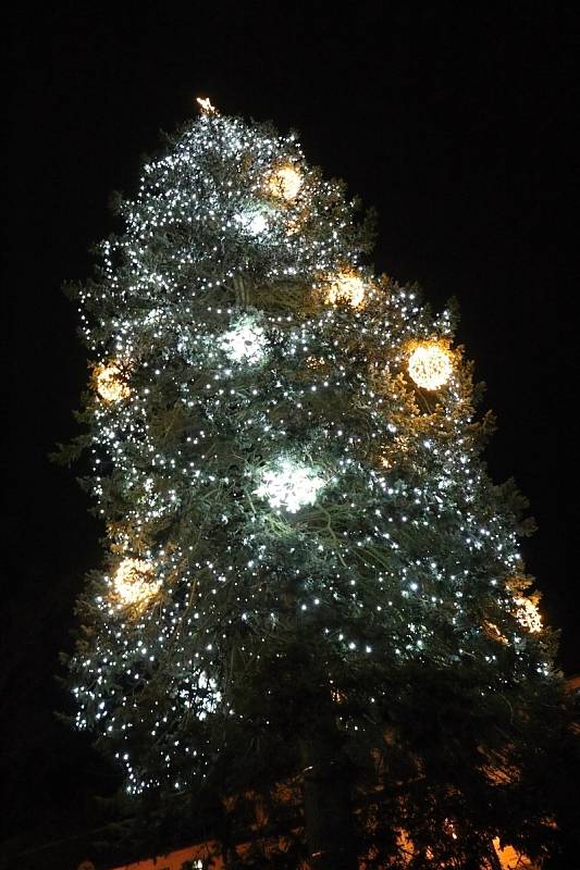 Vánoční strom se v Novém Městě na Moravě rozzářil se tam o něco dříve než jinde. Už v předvečer první adventní neděle.