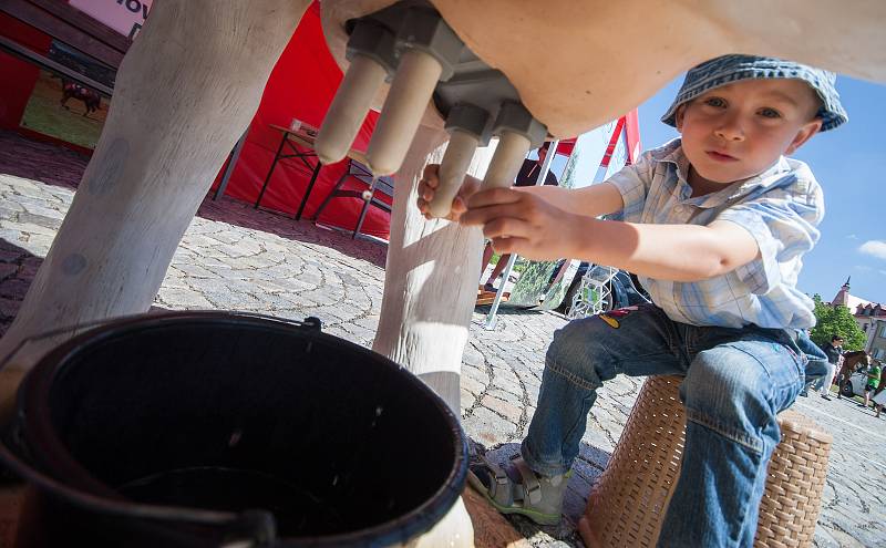 Třetí zastávkou Minifestivalu řemesel Kraje Vysočina byl Žďár nad Sázavou.