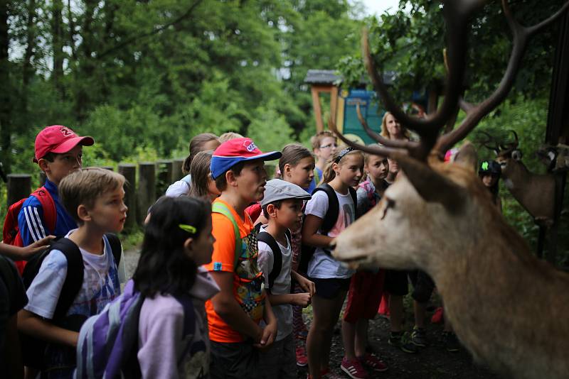 Městský úřad Žďár nad Sázavou pořádal už pátý ročník vzdělávací akce S lesníkem do lesa, potřetí se k organizaci připojilo vedení firmy Kinský Žďár, a.s. a Ústavu pro hospodářskou úpravu lesů Brno.