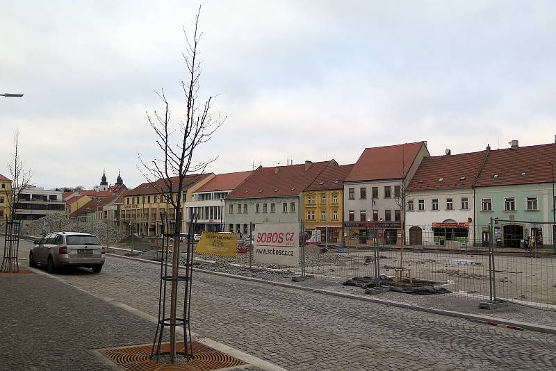 Strom vlevo byl povolen, strom vpravo za plotem nikoli.