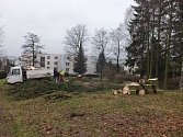 V rámci revitalizace bylo v lokalitě mezi ulicemi Polní a Lesní pokáceno jedenáct stromů. Na jaře bude místo nich vysazeno čtrnáct nových dřevin.