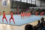 World Gymnaestrada 2019 Dorbirn. Foto: archiv Františka Humpolce