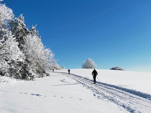 Bílá stopa bez davů. Běžkařské trasy na Žďársku najdou lidé nově na jednom místě