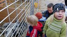 Zájemci si mohli prohlédnout králíky, holuby, drůbež i mnoho dalších druhů zvířat. Čekal na ně i bohatý doprovodný program.