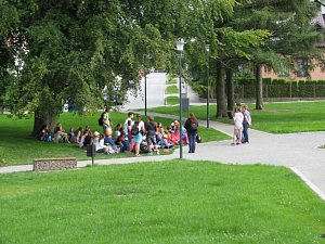 V parku ve Strojírenské ulici ve Žďáře nad Sázavou se mohou lidé projít mezi zelení, sednout si na lavičku či třeba pod strom. 