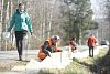 Žáby se stěhují: dobrovolníci na Třebíčsku jim pomáhají stavbou zábran u silnic