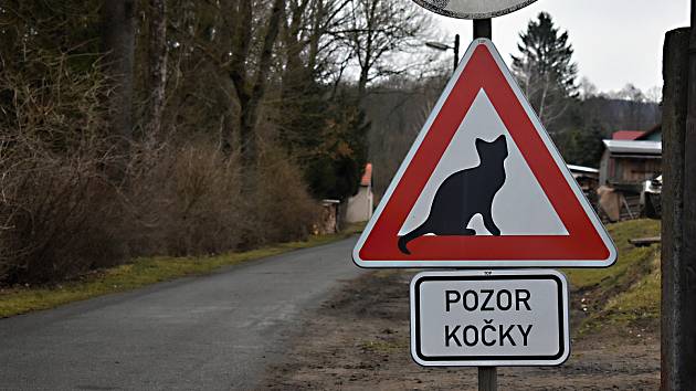 Pozor kočky: v Borovnici na silnici mají zelenou. Motoristé tam musí zpomalit