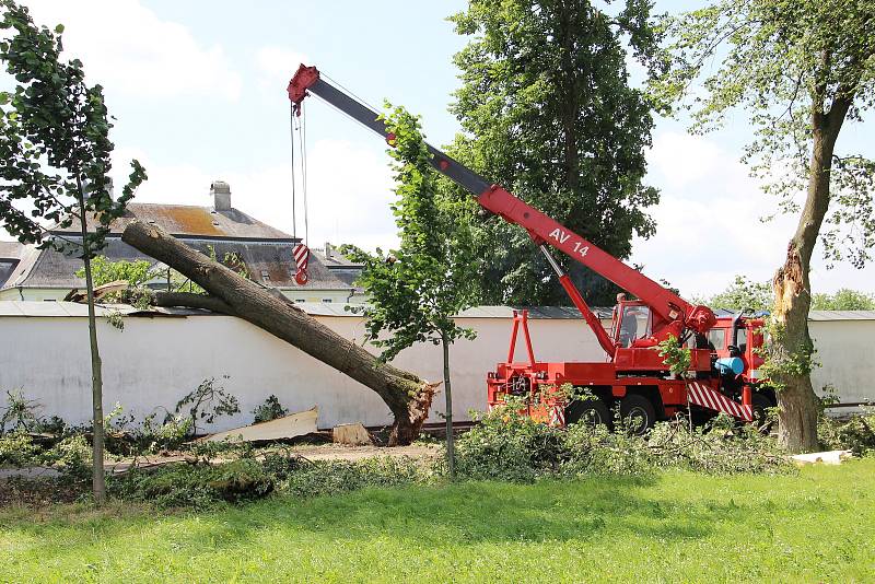 Několik vzrostlých stromů bouřka vyvrátila také v aleji u žďárského zámku. S odstraněním kmene, který přepadl přes zámeckou zeď do zahrady Kinských, museli přijet pomoci žďárští profesionální hasiči.