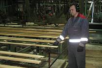 Stora Enso je ve Ždírci největší zaměstnavatel. Doménou finské společnosti je dřevo ve všech podobách.