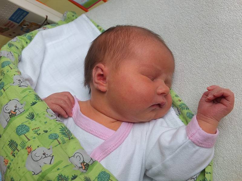 Viola Pohanková, Nová Ves u Nového Města na Moravě, 9.3. 2018, 3490 g, 48 cm