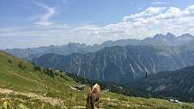 Lyžařská oblast Fellhorn Kleinwalsertal