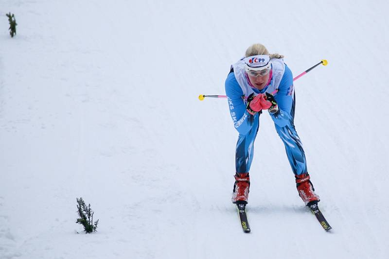 Luděk Šeller z Dukly Liberec a Sandra Schützová ze Ski Jilemnice získali na mistrovství republiky v běhu na lyžích v Novém Městě na Moravě tituly ve sprintu volnou technikou.