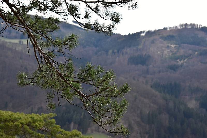 Vyhlídka nedaleko Víru se těší neobyčejné pozornosti turistů.