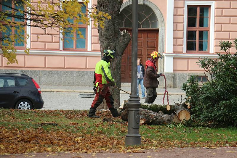 Do kmenů stromů se zakously motorové pily.