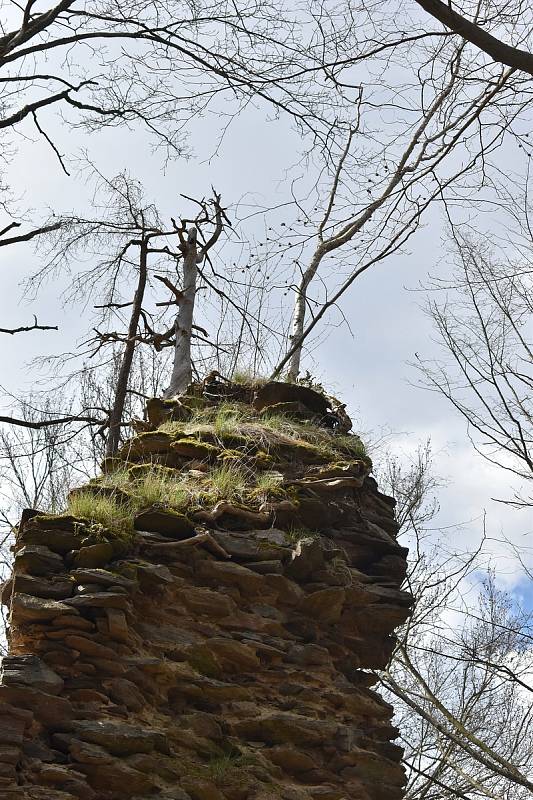 Nádherná příroda, vyhlídková místa a skvělá kuchyně. Na to lákali Šťastní z Víru turisty ze široka daleka. Upravovali cesty a vydávali pohlednice.