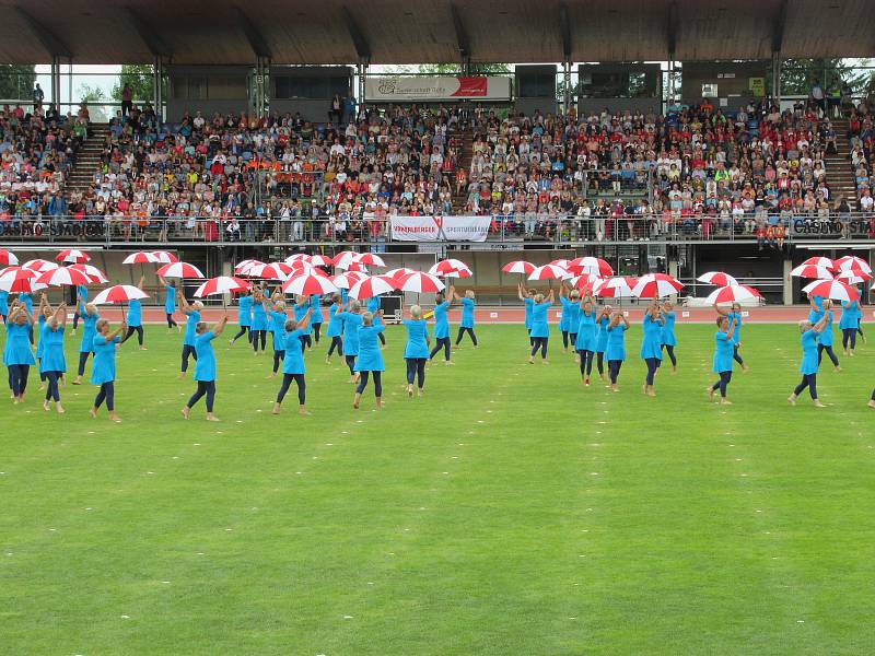 World Gymnaestrada 2019 Dorbirn. Foto: archiv Františka Humpolce