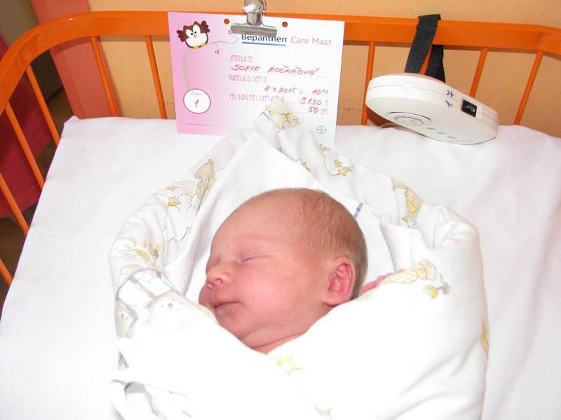 Sofie Kočařová, Žďár nad Sázavou, 8.4. 2015, 3130 g, 50 cm