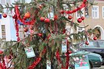 Lidé ve Žďáře už splnili spoustu vánočních přání dětí z domovů celé Vysočiny. 