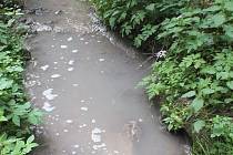 Firma Fritagro Nížkov se podle inspektorů České inspekce životního prostředí provinila tím, že v květnu 2016 znečistila potok čistírenskými kaly. Vodní tok, který je významným krajinným prvkem, tak poškodila.