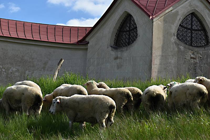 Krajina pod památkou Unesco už je zase jako z barokního obrázku.