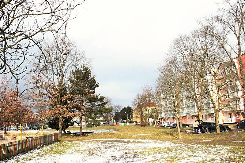 Veřejná zeleň se dočká obnovy také na sídlišti kolem ulice Neumannova.